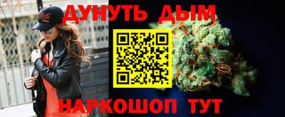 дмт Обь