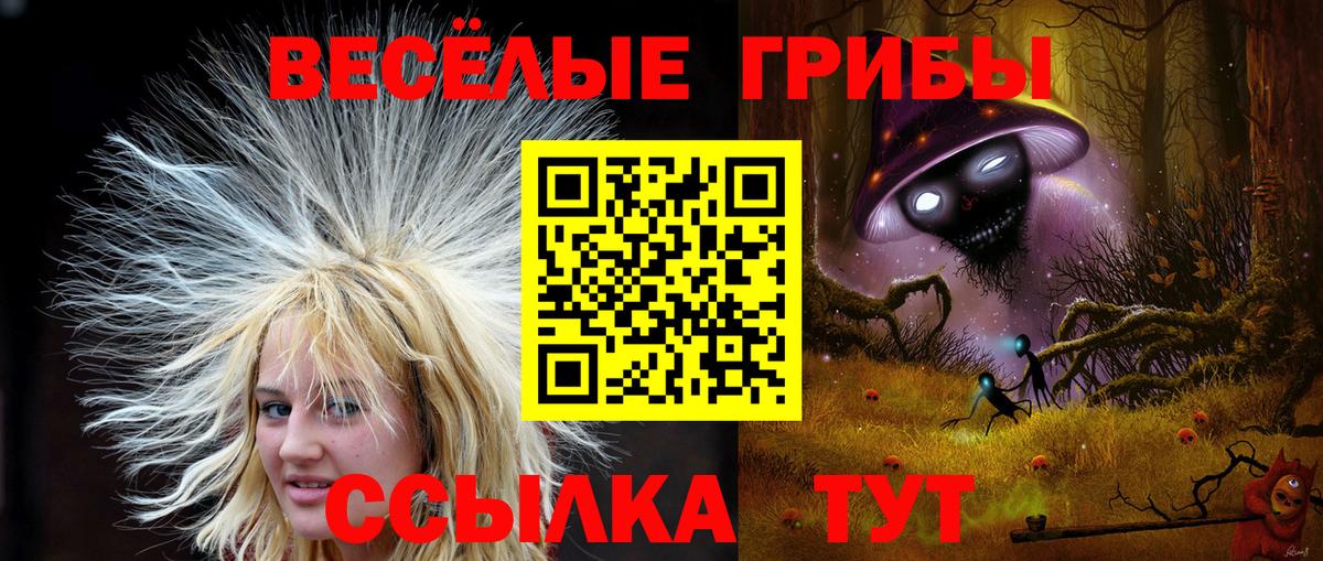 Галлюциногенные грибы Magic Shrooms Семилуки